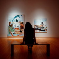 kijk op kunst en cultuur met doris schillings — lezing in Limburg