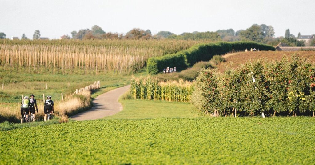 Mergelheuvelland-2-daagse in Limburg