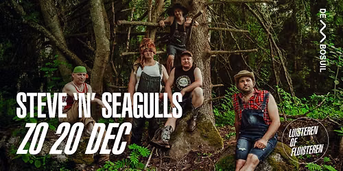 Steve ‘n’ Seagulls | De Bosuil — Muziek in Limburg