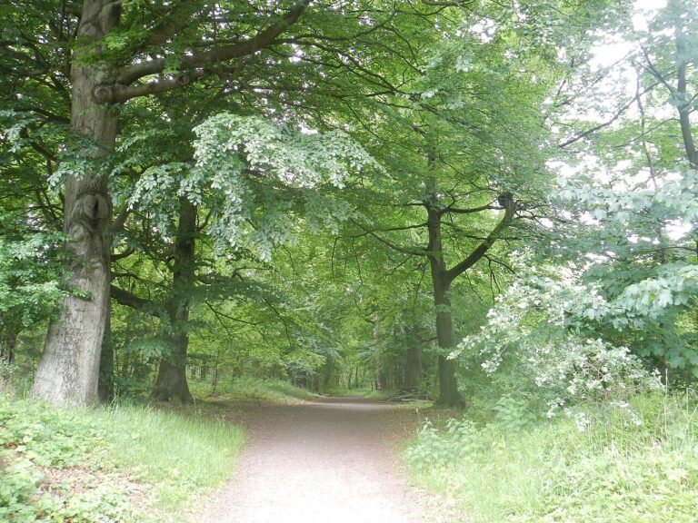 Rondleiding ’t Oude Kerkhof (Allerzielen) — Natuur in Limburg
