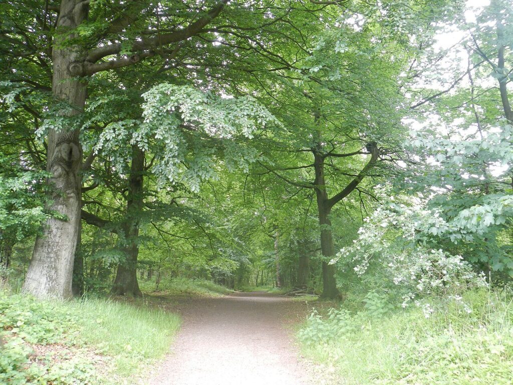 Lichtjeswandeling door de lens van Werner Mantz in Limburg