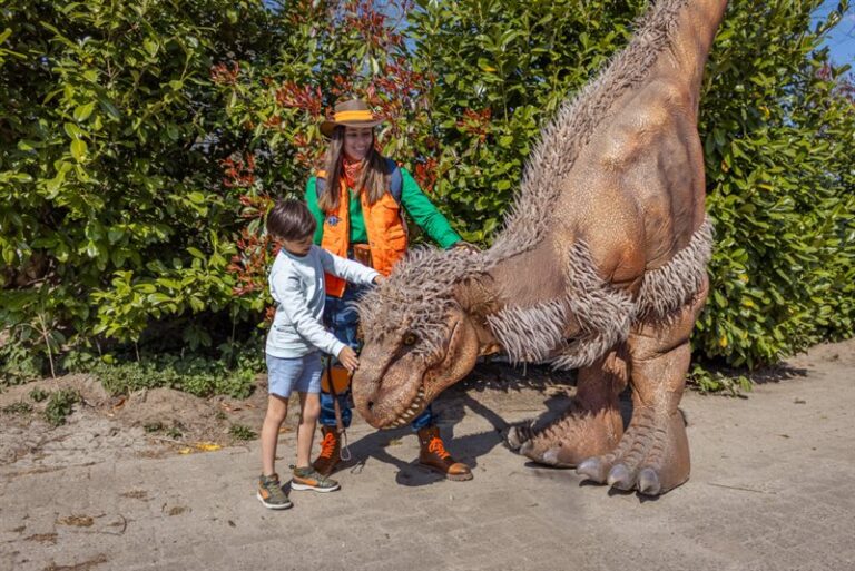Dino weken in Zooparc Overloon — Attracties in Limburg