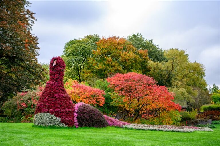 Herfstig — Natuur in Limburg